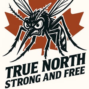 Op de afbeelding: Een zwart-wit illustratie van een boze mug met een rode esdoornblad achtergrond. De tekst luidt "TRUE NORTH STRONG AND FREE" in vette, zwarte letters.