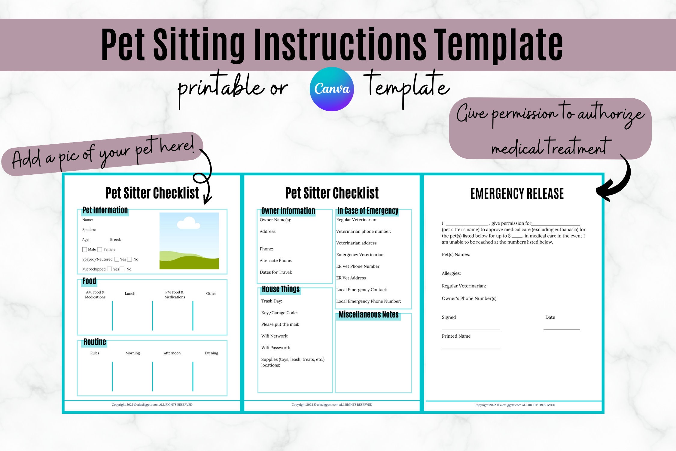 Pet Sitting Instructions Template Etsy