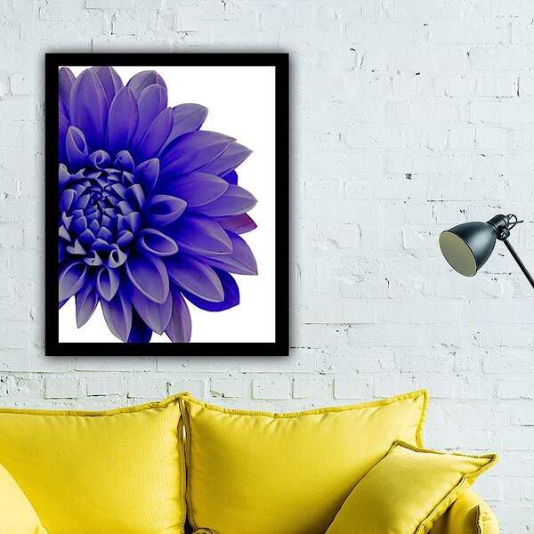 Digital Photography Purple Dahlia