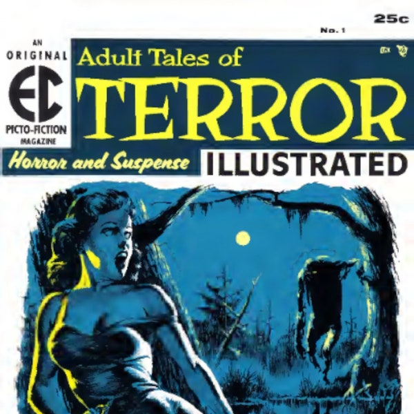 42 nummers Haunt of Fear EC Horror Comic Book Collection Vintage Golden Age PDF-formaat