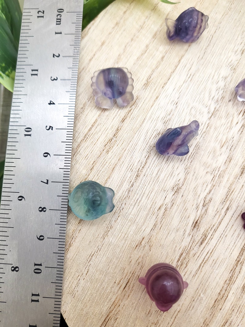 May include: A collection of small, carved fluorite animal figurines in shades of purple, blue, and green. The figurines include a crab, fish, and frog. A ruler with centimeter markings is in the frame, showing the size of the figurines.