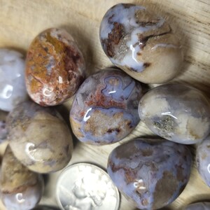Blue Flower Agate Tumbled Stones- Tumbles - Pocket Crystals