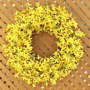 Forsythia Wreath, Bright Yellow Front Door Wreath, Vibrant Spring Decor
