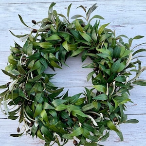 Olive branch wreath for front door, year round wreath, everyday greenery wreath, sophisticated Olive wreath, sage green wreath image 5