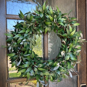 Corona de rama de olivo para la puerta principal, corona durante todo el año, corona de vegetación diaria, corona de olivo sofisticada, corona verde salvia