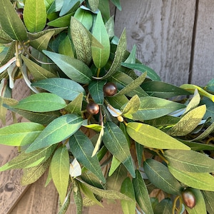 Olive branch wreath for front door, year round wreath, everyday greenery wreath, sophisticated Olive wreath, sage green wreath image 6