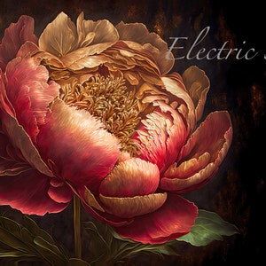 May include: A close-up of a large, red and gold peony flower with a dark background. The flower is in full bloom and has a delicate, layered texture. The text "Electric Snorkel" is written in white script above the flower.