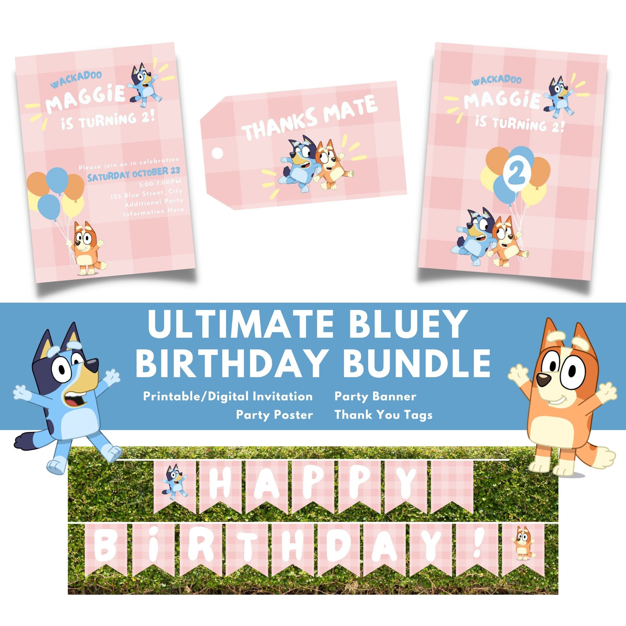 Bluey Birthday Games - Etsy