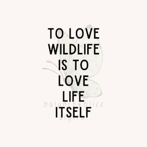 Op de afbeelding: Digitale kunstafdruk met de tekst "TO LOVE WILDLIFE IS TO LOVE LIFE ITSELF" in zwart, met een aquarel vlinder illustratie. De achtergrond is een zachte, gebroken witte kleur. De woorden "balance bliss digital" staan onderaan.
