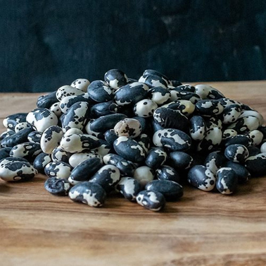 Organic Orca Beans USDA Organic Orca Beans Calypso Beans Yinyang Beans