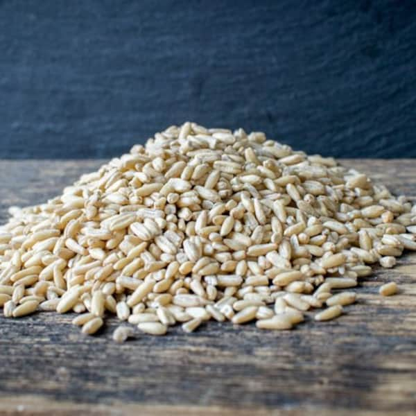 Organic Whole Oat Groats | Organic Oat Groats | USDA Organic Whole Oat Groats | Organic Bulk Oats