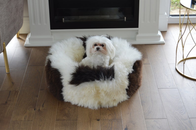 Real Sheepskin Dog Bed Cat Bed Fur Cozy Soft Bed Premium Etsy