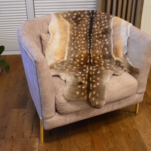 Puede incluir: Un sillón de color beige claro con patas doradas tiene una piel de venado manchada drapeada sobre él.