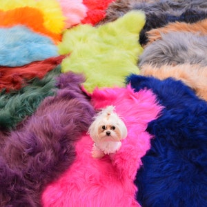 Genuine Icelandic colors Sheepskin Rug, Pelt, carpet, Giant Sheepskin rug, Large sheepskin Rug, Sheepskin 17 COLORS
