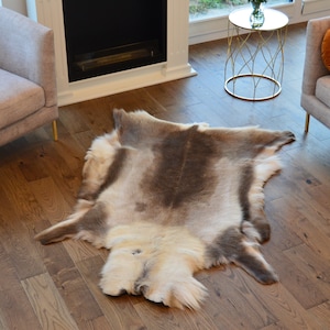 Exclusive Scandinavian Reindeer natural, skin hide rug, Caribou hide, prime quality 100% leather