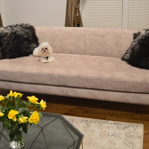 SET Zachte decoratieve schapenvacht kussens, krullend lang haar, vierkante lederen kussensloop, huidkussenhoes, kussenhoes luxe kussens