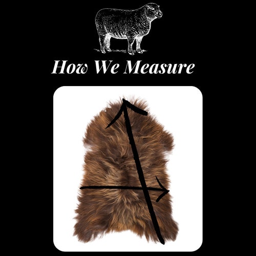 Brown-Grey Sheepskin, Natural, Genuine Sheepskin Rug, shops Single Pelt, Sheep Skin Rug, Sheepskin Throw, Wool Rug, Luxury Rug, Scandinavian Decor