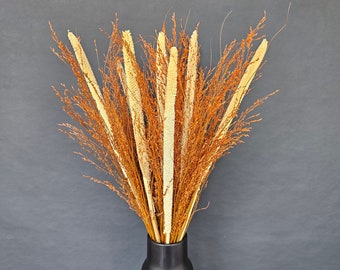 Dried Flower Plant Bouquet Wild Grass Water Reed Cattail Typha plant Vase Flowers Home Decor 60cm by Milda Smilga