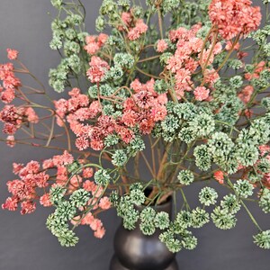 Gypsophila Babys Breath Flower Artificial Stems Green Red Million Star Flowers Table Decor Bouquet image 7