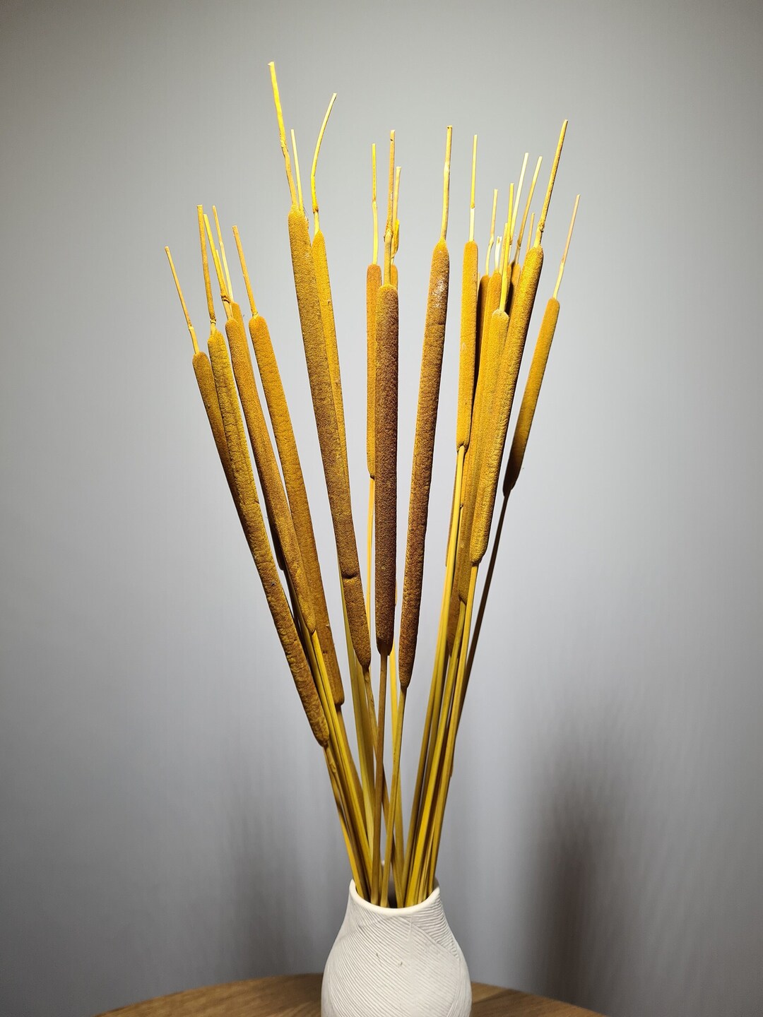 Dried Water Reed Cattail Typha Plant Coloured Floral - Etsy