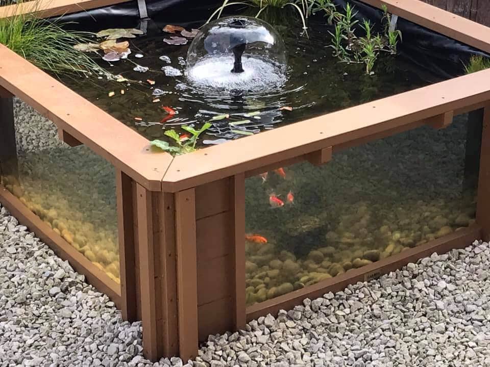 Lotus Clear View Garden Aquarium Garden Fish Pond With Windows - Etsy