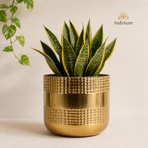 Op de afbeelding: Een goudkleurige metalen plantenbak met een gestructureerd, geometrisch patroon. De plantenbak bevat een slangplant met groen-gele gestreepte bladeren. De plantenbak heeft een brede, cilindrische vorm.