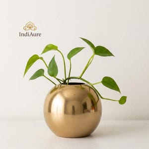 Könnte beinhalten: Eine goldfarbene, kugelförmige Vase mit glänzender Oberfläche, die eine grüne Pflanze mit Blättern enthält. Die Blätter der Pflanze sind leuchtend grün. Die Vase steht vor einem weißen Hintergrund. Das Design ist minimalistisch und modern, passend für die Inneneinrichtung.