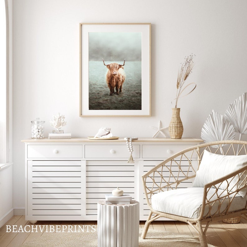 Highland Cow Wall Art Highland Cow Print Scottish Cattle Etsy Australia