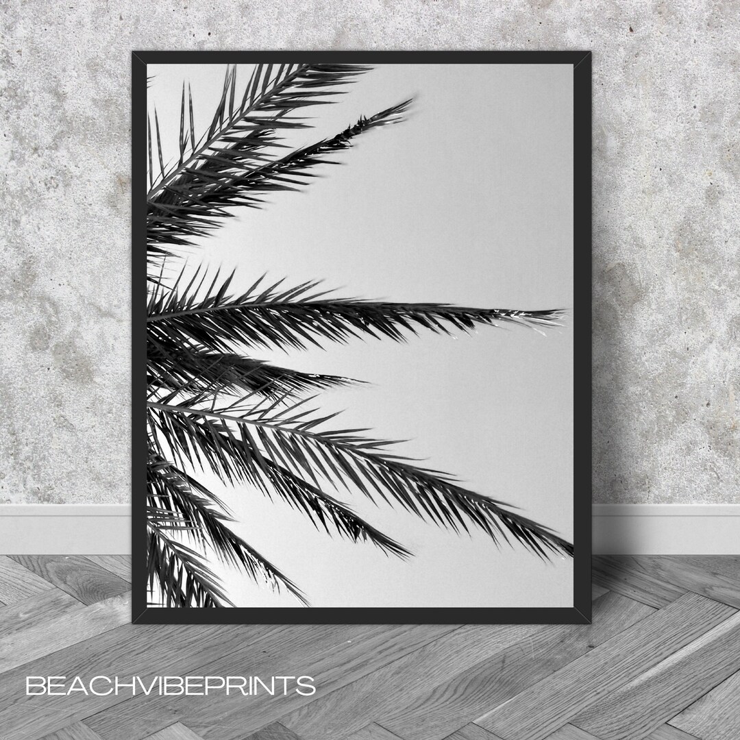 Fern, Black and White, Botanical Wall Art, Beach House Etsy