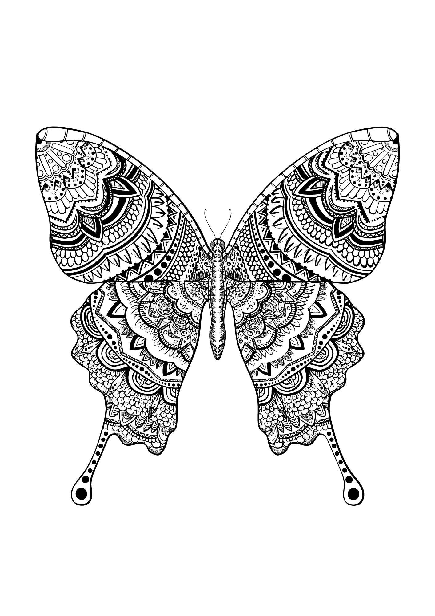 Animal colouring pages digital file digital download a4 print