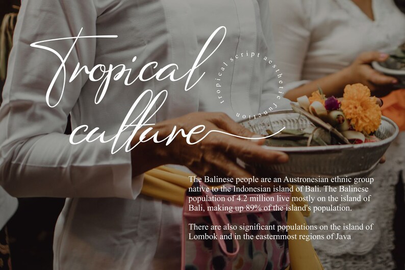 Valencia | Script Tropical Fonts - Etsy