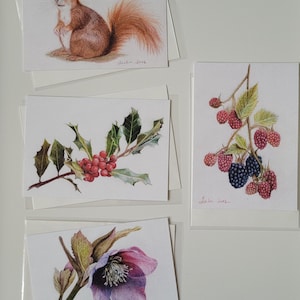 Juego de tarjetas, ardilla, moras, rosa navideña, acebo, Navidad, invierno, pintado a mano, acuarela, deseos, tarjeta de felicitación, tarjeta impresa