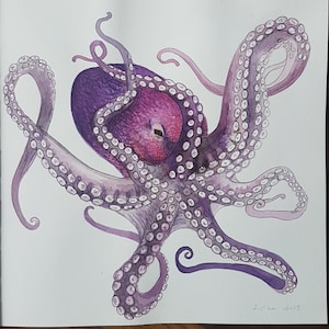 Calamari, idea regalo, acquerelli, dipinti a mano, originali, unici, fatti a mano, polpi, pesci, acquerelli, vita marina, mare