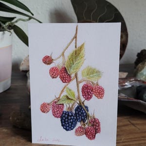 Karte, Brombeeren, Obst, Früchte, Weihnachten, Postkarte, Handgemalt, Aquarell, Wünsche, Grußkarte, Druckkarte