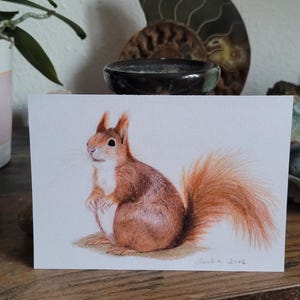 Biglietto, scoiattolo, animali, Natale, cartolina, dipinto a mano, acquerello, auguri, biglietto di auguri, biglietto stampato