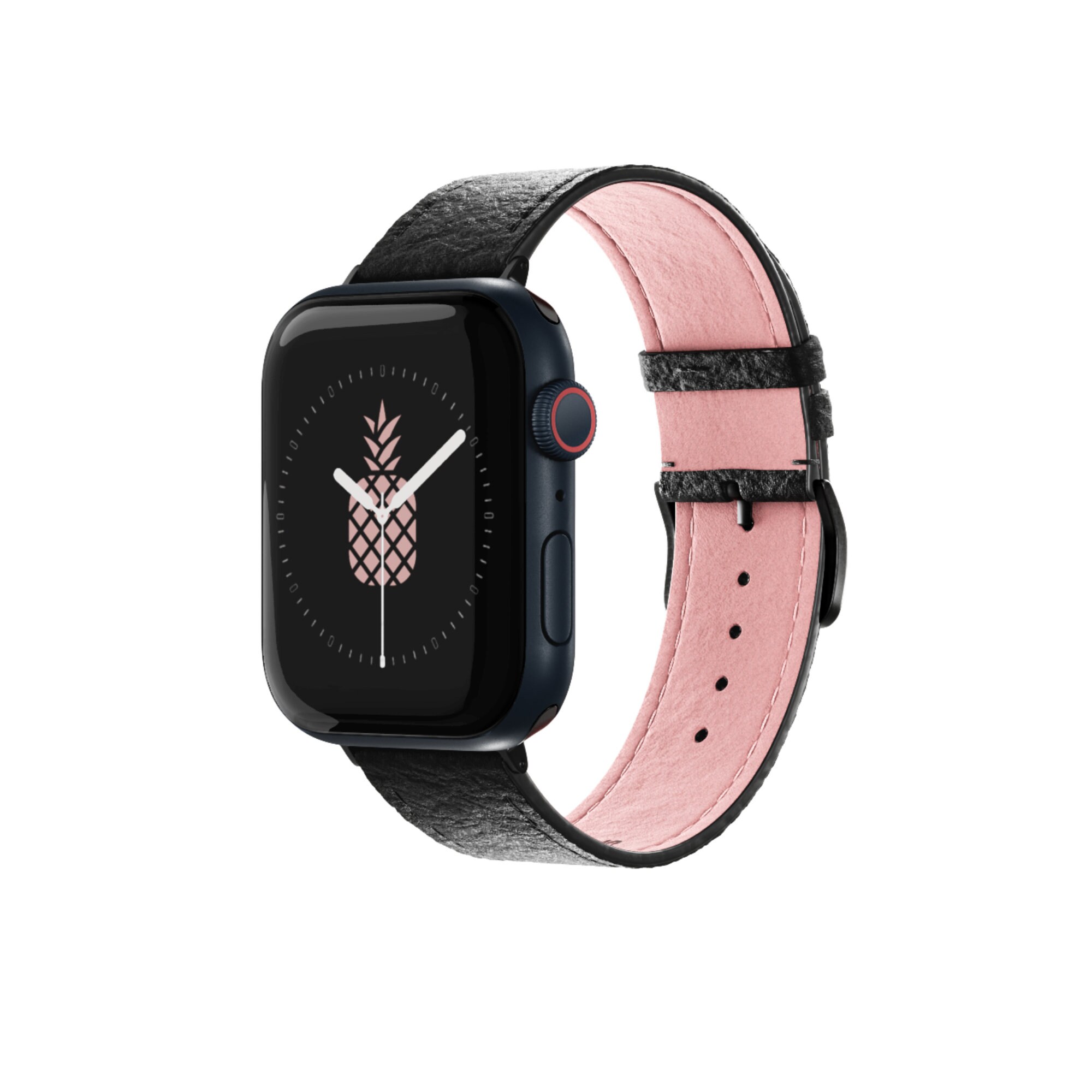 Apple Watch 4 Lv Band  Natural Resource Department