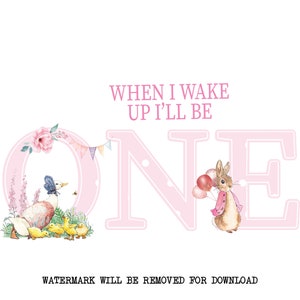 Quando eu acordar serei um Png, Flopsy Birthday One PNG, Woodland Birthday Sublimation, Flopsy First Birthday One, Pink Bunny