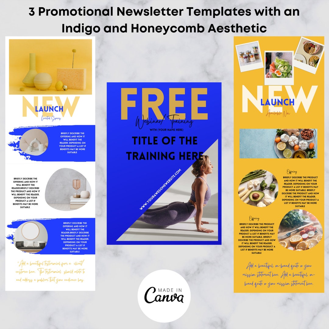 3 Promotional Email Newsletter Templates With an Indigo and Honeycomb ...