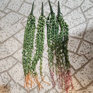 Faux soft hanging plants decor