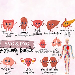 Anatomy Pun Bundle #1 SVG | PNG , lungs, kidneys, intestine, gut, ovary, pancreas, brain, spleen, liver, bladder, heart