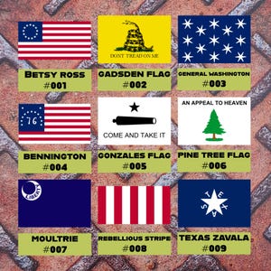 Può includere: Una collezione di nove bandiere storiche, ognuna con un design e un nome unici. Le bandiere includono le bandiere Betsy Ross, Gadsden, General Washington, Bennington, Gonzales, Pine Tree, Moultrie, Rebellious Stripe e Texas Zavala. Ogni bandiera è numerata.
