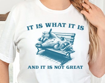 It Is What It Is And It Is Not Great Shirt, Funny Raccoon, Mental Health shirt, Vintage Drawing Tee, Raccoon Meme Shirt, Funny Mood Tshirt