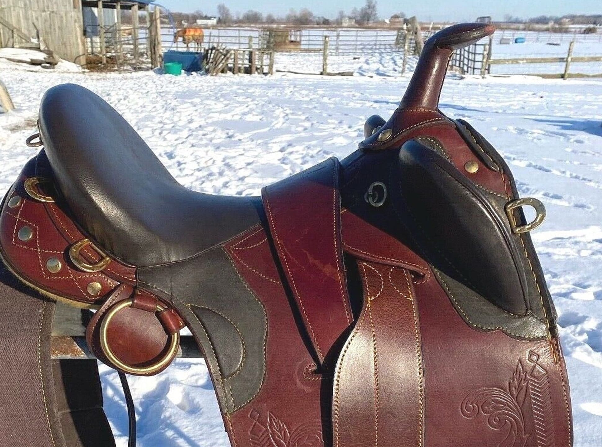 Selle australienne sans aron - 1 - Forum Cheval