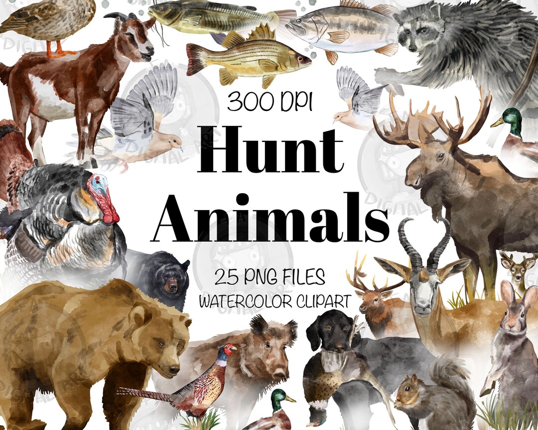 Hunt Animals Png Bundle for Creators, Watercolor Hunting Clipart ...