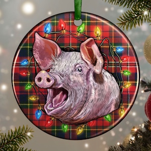 Christmas Lights With Pig Ornament Png Sublimation Design, Christmas Ornament Png, Merry Christmas Png, Christmas Pig Png, Digital Download
