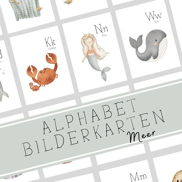 Alphabet Letters Card Set Sea Creatures