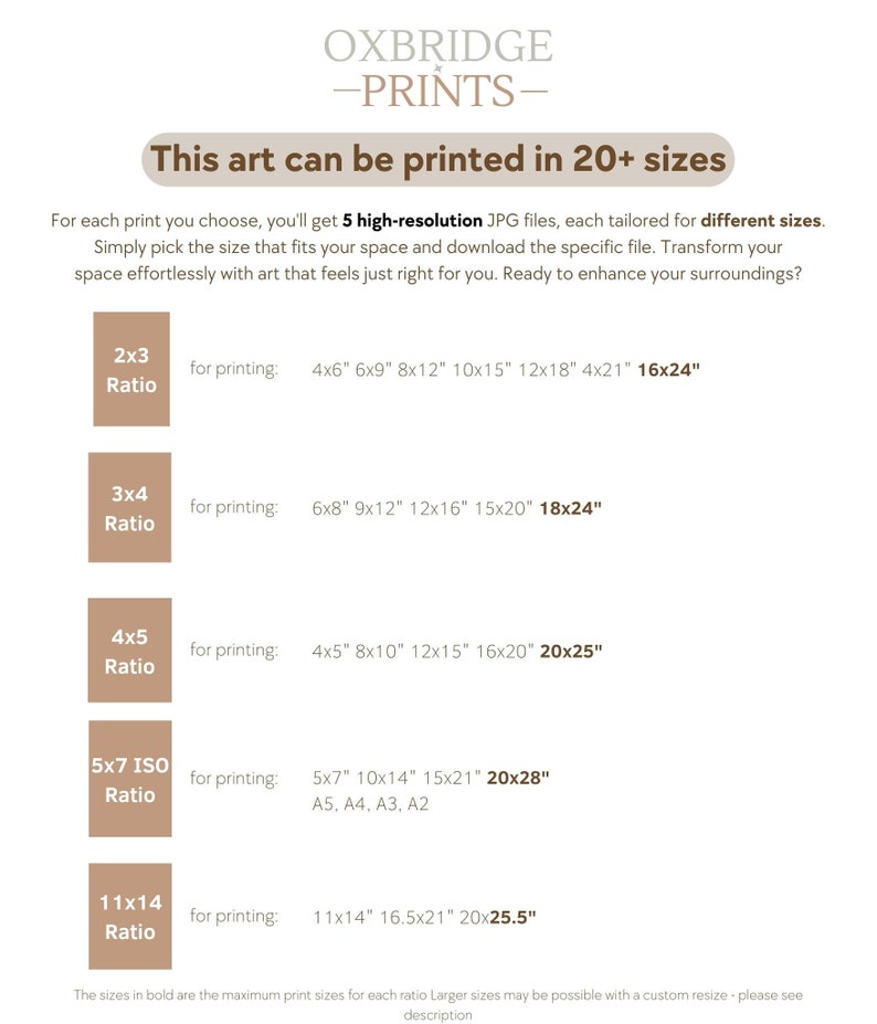 Simple Rustic Winter Sketch Art Pine Christmas Tree Drawing Neutral