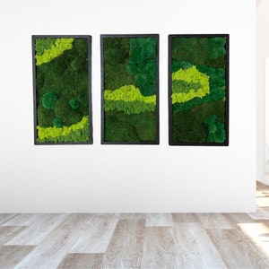 Moss Office Wall Decor Natural Frame