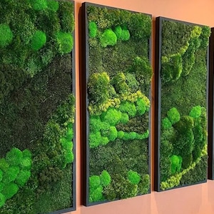 Preserved Moss Wall Art – Green Wall Office Decor – Framed Moss Panel – Biophilic Design – Natural Wall Hanging – Custom Moss Art