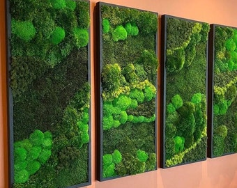 May include: Three framed moss wall art pieces with a natural green color. The moss is arranged in a variety of shapes and sizes, creating a textured and organic look.